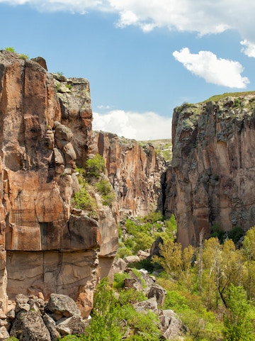 Ihlara Valley canyon with steep rock walls and lush greenery, Cappadocia, Turkey.
