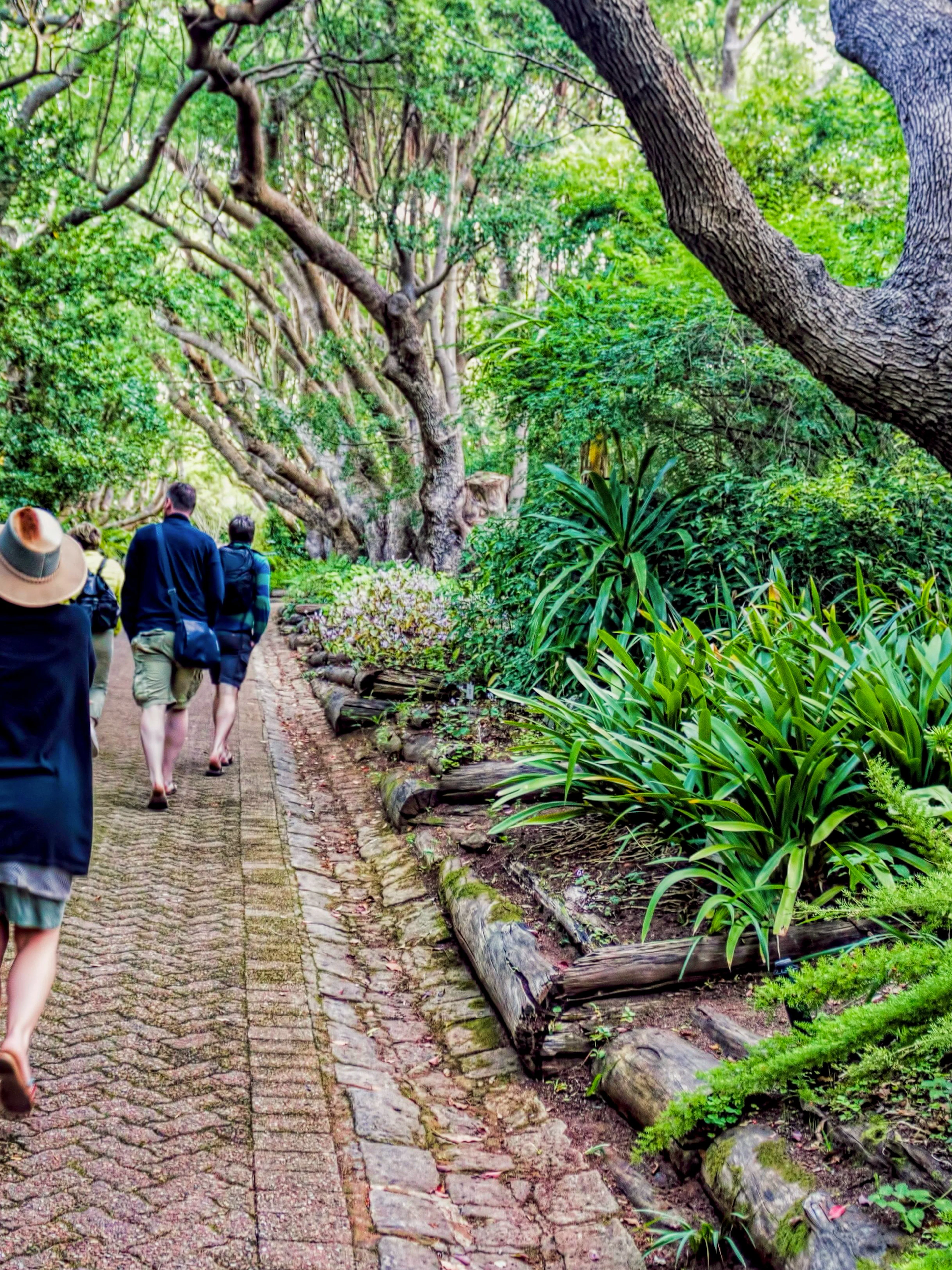 Visitors walking through lush greenery in Kapstadt Botanischer Garten.