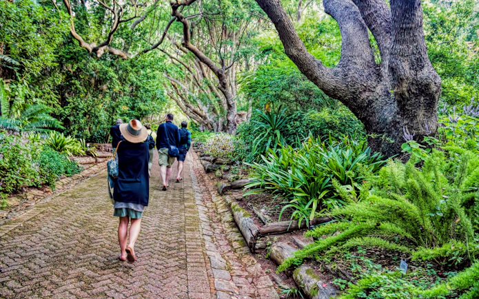 Visitors walking through lush greenery in Kapstadt Botanischer Garten.