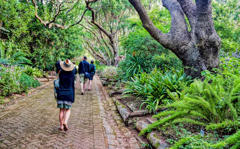 Visitors walking through lush greenery in Kapstadt Botanischer Garten.