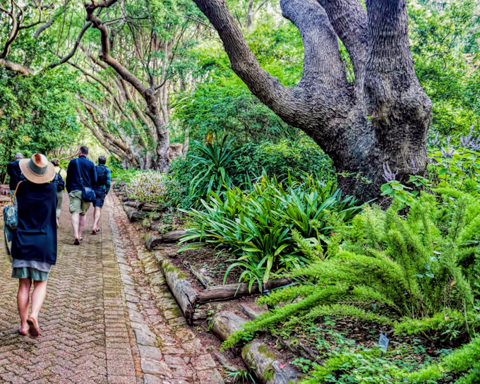 Cape Town: Kirstenbosch Botanical Garden Entry Tickets