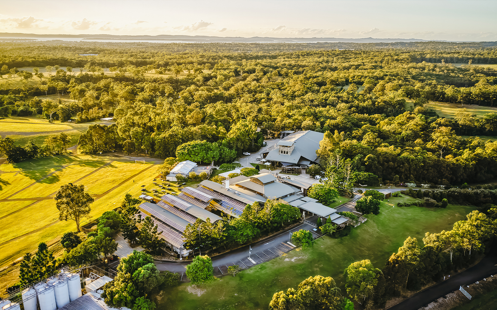 Brisbane Wine Tours | Headout