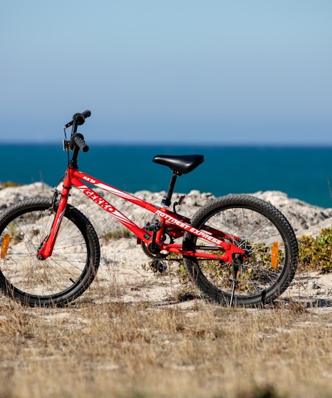 Red bicycle on rocky shore with ocean in the background.