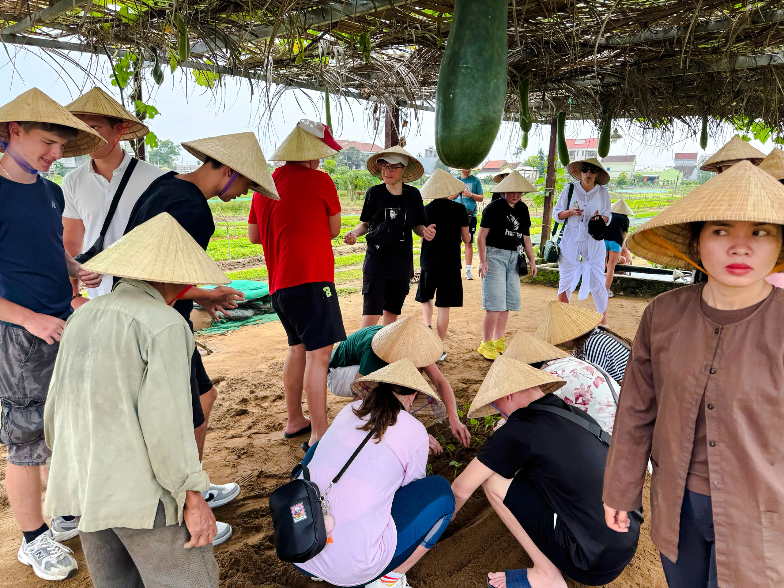 Tourists planting vegetables in a Hoi An village during the 3 Heritage Craft Hoi An Villages Tour by Bicycle.