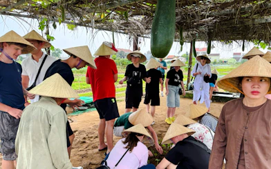 Tourists planting vegetables in a Hoi An village during the 3 Heritage Craft Hoi An Villages Tour by Bicycle.