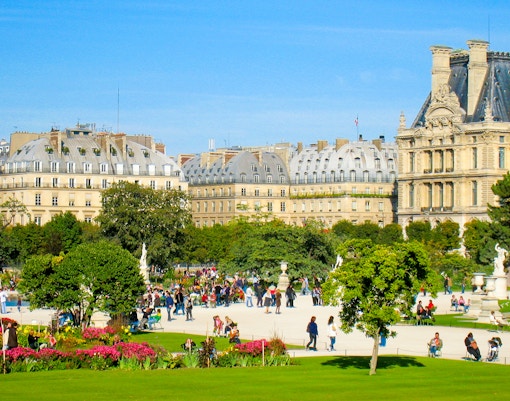 Tuileries Gardens' Grand Carre with manicured lawns and tree-lined pathways in Paris, France.