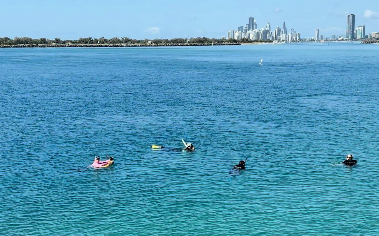 Kayakers and snorkelers in clear waters with Gold Coast skyline in the background.