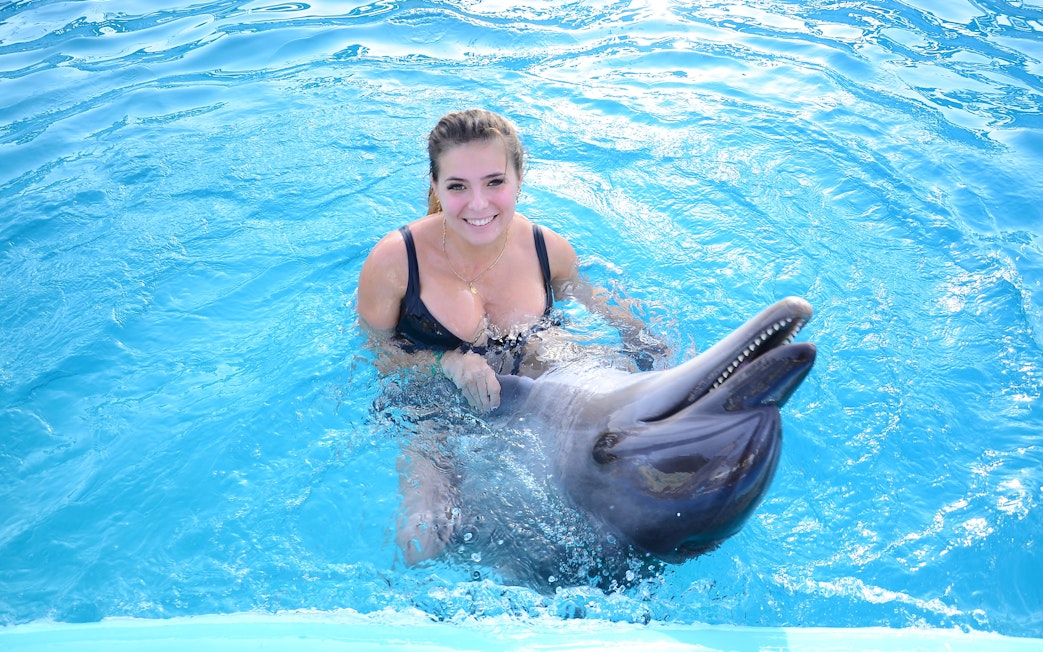 Woman swimming with dolphin at Dolphin World Egypt, Hurghada.