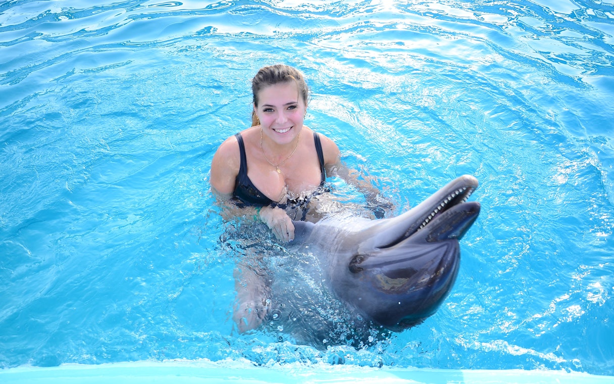 Woman swimming with dolphin at Dolphin World Egypt, Hurghada.