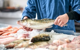 Marché aux poissons de Bergen