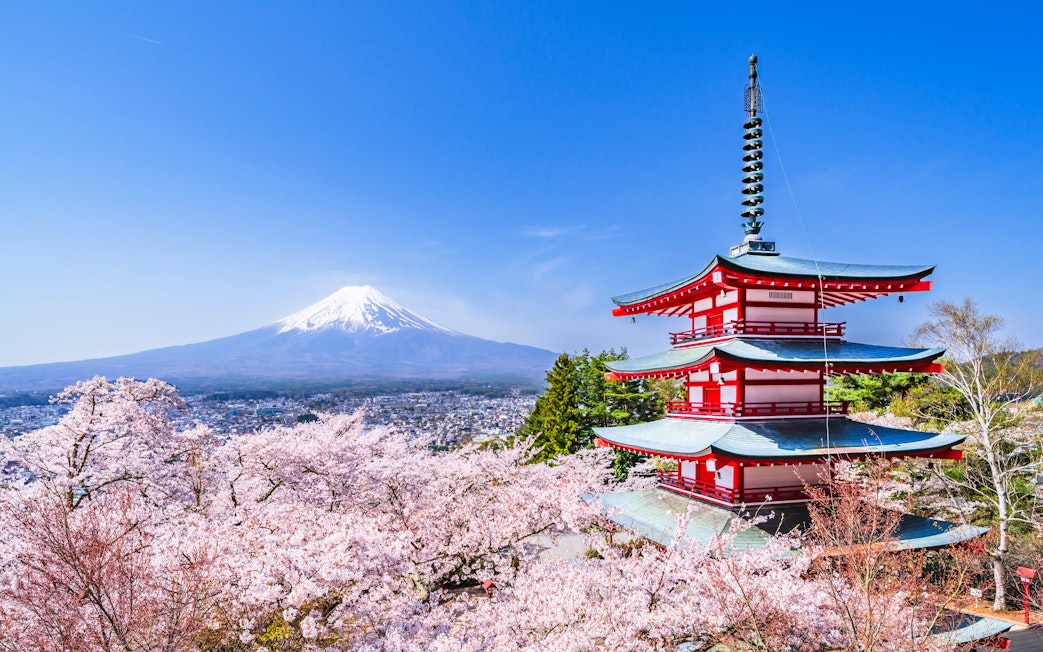 Chureito Pagoda with cherry blossoms and Mount Fuji in Arakurayama Sengen Park, Yamanashi, Japan.