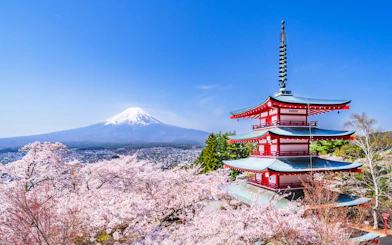 Chureito Pagoda with cherry blossoms and Mount Fuji in Arakurayama Sengen Park, Yamanashi, Japan.
