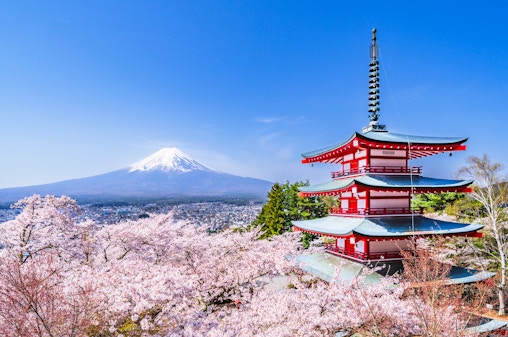 Visite des Points forts du Mont Fuji : Pagode Chureito, lac Kawaguchi, Oshino Hakkai, et plus encore
