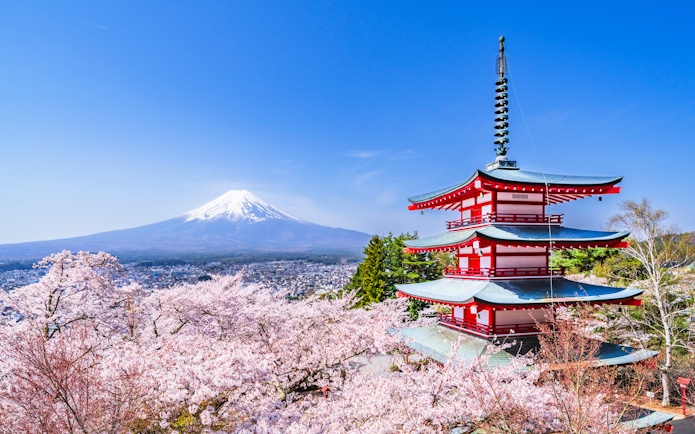Chureito Pagoda with cherry blossoms and Mount Fuji in Arakurayama Sengen Park, Yamanashi, Japan.