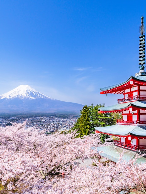 Chureito Pagoda with cherry blossoms and Mount Fuji in Arakurayama Sengen Park, Yamanashi, Japan.