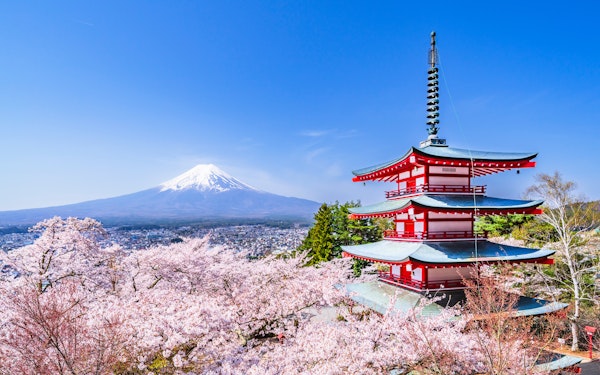 Mount Fuji Highlights Tour: Chureito Pagoda, Lake Kawaguchi, Oshino Hakkai, & More