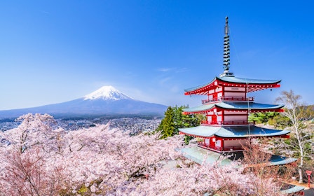 Mount Fuji Highlights Tour: Chureito Pagoda, Lake Kawaguchi, Oshino Hakkai, & More