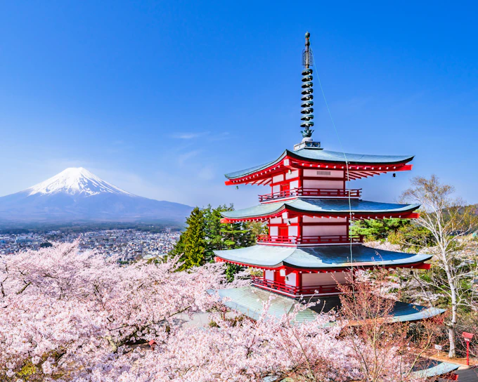 Mount Fuji Highlights Tour: Chureito Pagoda, Lake Kawaguchi, Oshino Hakkai, & More