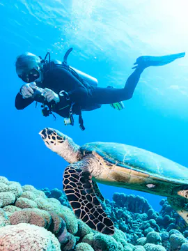 Red Sea Diving