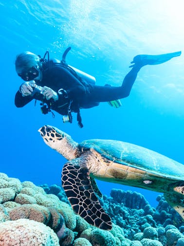 Buceo en el Mar Rojo