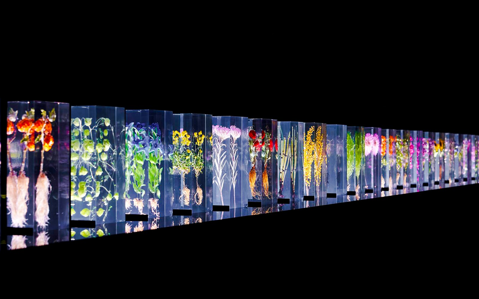 Azuma Makoto's Block Flowers installation at National Gallery of Victoria.