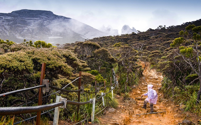 Hiker ascending rocky path on Mount Kinabalu Summit Tour, surrounded by lush vegetation.