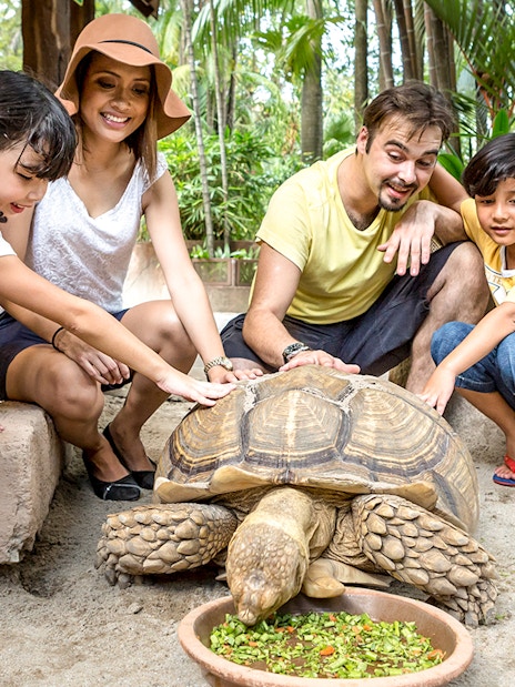 Family interacting with a tortoise at Sunway Lagoon wildlife park.