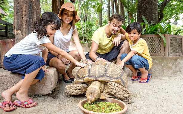 Family interacting with a tortoise at Sunway Lagoon wildlife park.