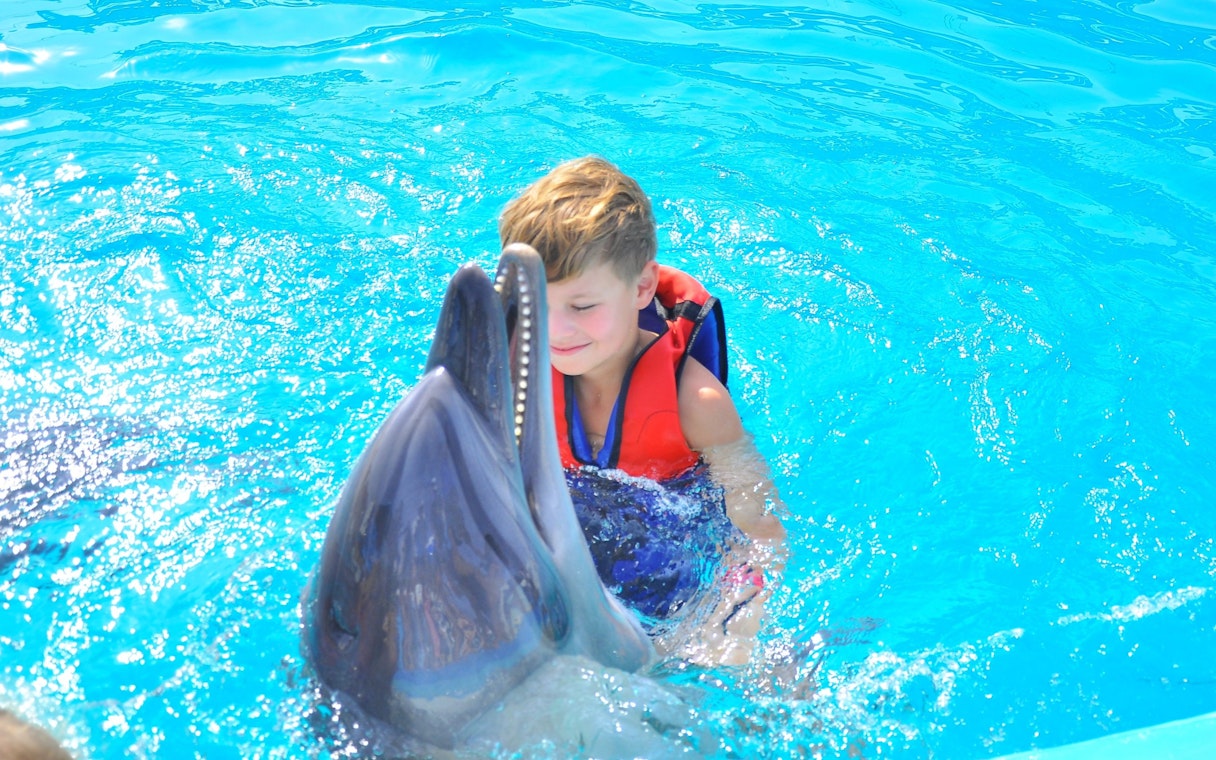 Kid swimming with dolphin at Dolphin World Egypt, Hurghada.