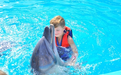 Kid swimming with dolphin at Dolphin World Egypt, Hurghada.
