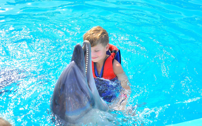 Kid swimming with dolphin at Dolphin World Egypt, Hurghada.