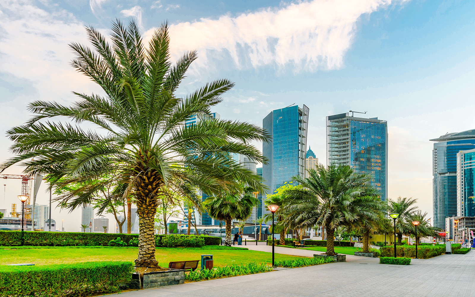 Palm trees and skyscrapers in a park, Downtown Dubai.