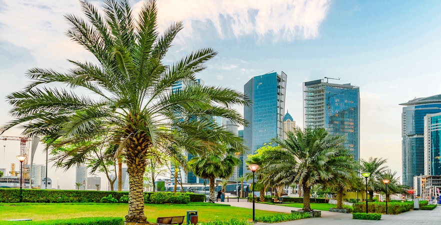 Palm trees and skyscrapers in a park, Downtown Dubai.