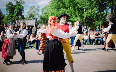 billet d'entrée au musée en plein air de skansen-1