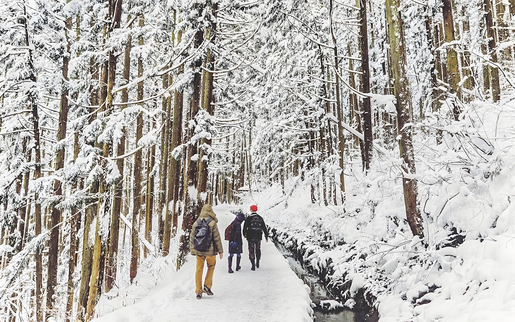 Snowshoeing through a snowy forest in Nagano, Japan.