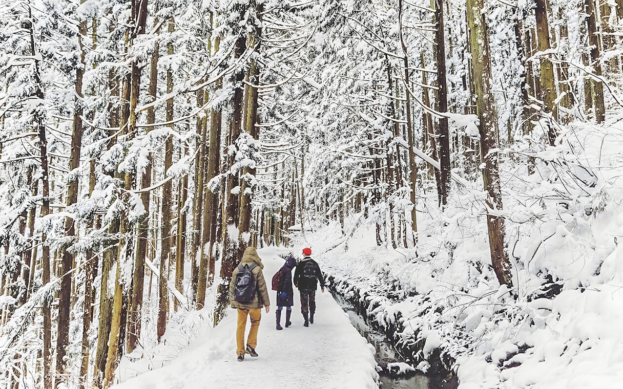 Snowshoeing through a snowy forest in Nagano, Japan.