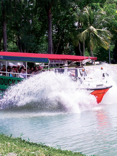 Amphibious vehicle splashing into water during DUCKtours Singapore.