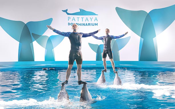 Trainers performing with dolphins at Dolphinarium Pattaya.