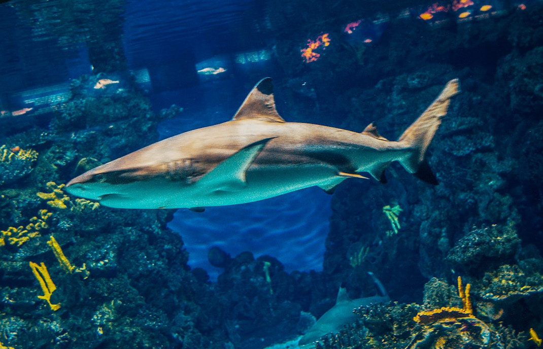 Barcelona Aquarium