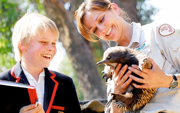 Child and zookeeper holding an echidna at Ballarat Wildlife Park, Australia.