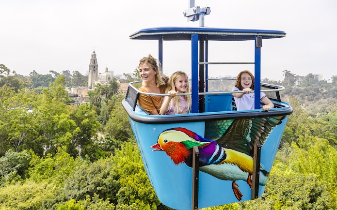 Skytram ride at San Diego Zoo Safari Park with view of lush greenery and distant buildings.