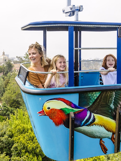 Skytram ride at San Diego Zoo Safari Park with view of lush greenery and distant buildings.