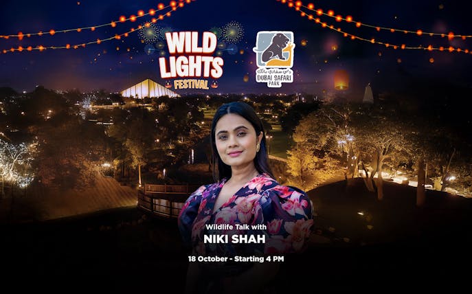 Wild Lights Festival poster at Dubai Safari Park with Niki Shah wildlife talk details.