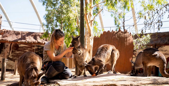 WILD LIFE Sydney Zoo Tickets