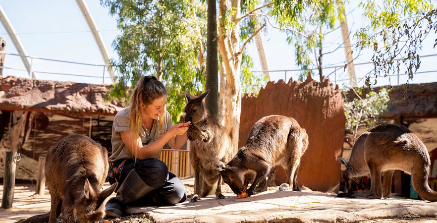 WILD LIFE Zoo w Sydney Bilety