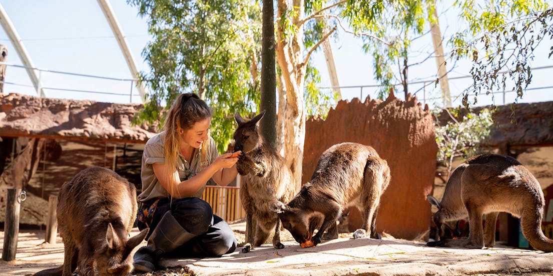 WILD LIFE Sydney Zoo Tickets