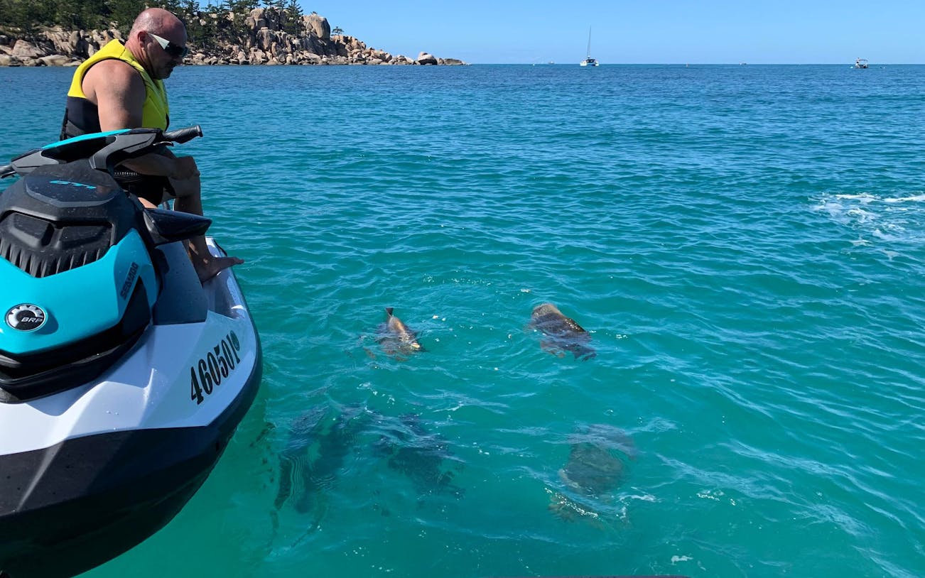 snorkeling jet ski  tour (2 hours)-2