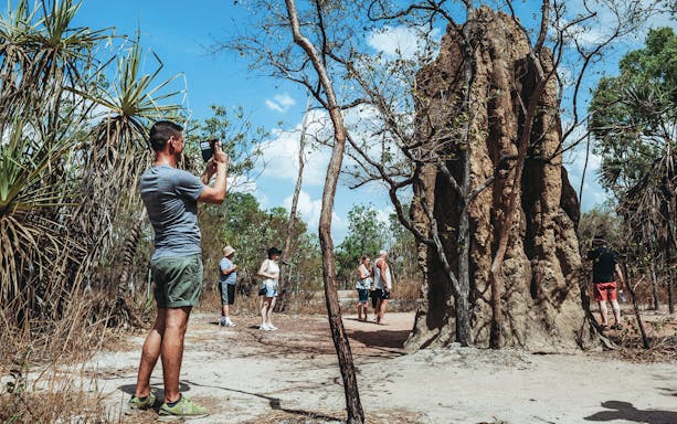 Tourists photographing a large termite mound in Litchfield National Park, Australia.