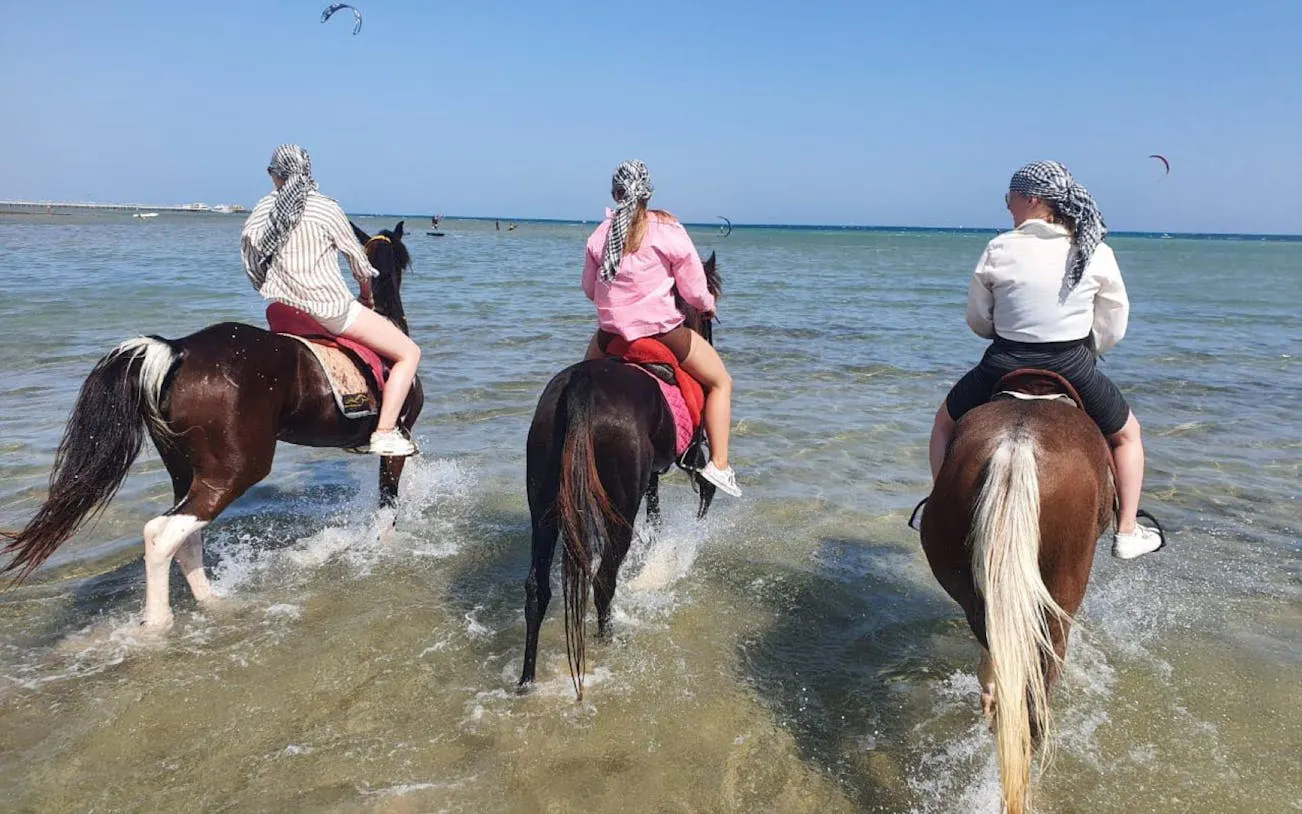 Horseback riding along the shoreline in Nabq Bay, Egypt.