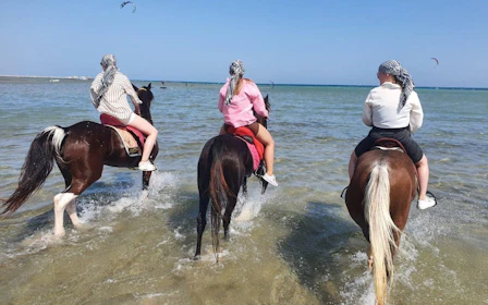 Nabq Bay Horse Riding Experience with Hotel Transfers and Guide